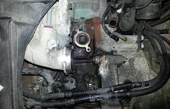 20121224_110842_zps4ae4b4c9.jpg