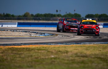 _MS_0676.jpg