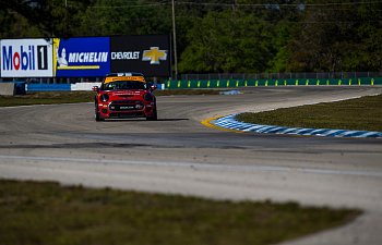 _MS_1413.jpg