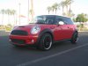 A shaved Cooper 005.jpg