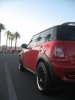 A shaved Cooper 006.jpg