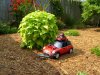 toy minis1.jpg