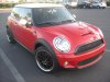 A shaved Cooper 008.jpg