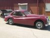 jaguar_002.jpg