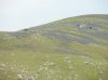 DSCN0362.jpg