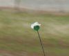 antenna ball.jpg
