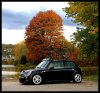 PORSCHEDIALSCOOPERS 1.jpg