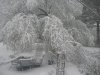 IMG_0294R.jpg