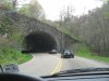 IMG_4774small.jpg