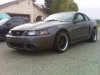 2011 038.jpg