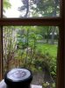 image-1558780877.jpg