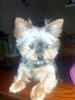 2011-05-23_19-14-52_851.jpg