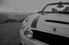 _MG_3297.jpg