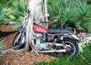 MotorcycleInTree.jpg