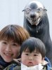 EvilSeal.jpg