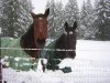 DSCN1250.JPG