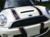 mini%20front%20close.jpg