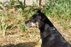 DSC00006.JPG