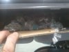 2011-12-26_19.04.23.jpg