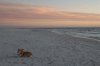 DSC_2246.jpg