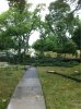 image-102395006.jpg