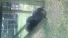 ForumRunner_20120812_203240.jpg