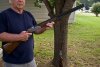 Shotgun-800.jpg