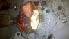 ForumRunner_20121031_215541.jpg