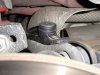 DSC00462c.jpg