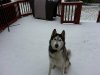 20121226_105700.jpg