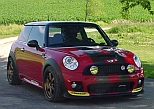mini DSC00706 sm.jpg