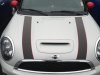 jcwstripes5.jpg