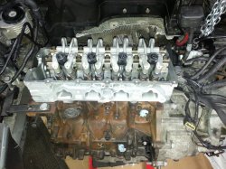 output (2).jpg