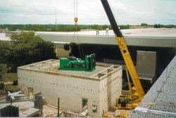 Cerd Crane.jpg