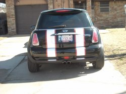 stripes6.jpg