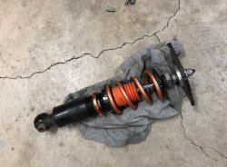 Coil at Fish 1.JPG