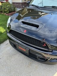 IMG_8098.jpeg