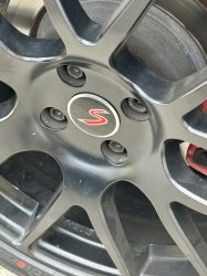 IMG_8095.jpeg