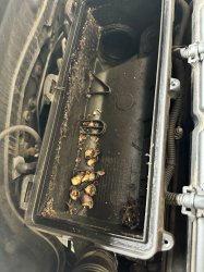 IMG_8631.jpeg