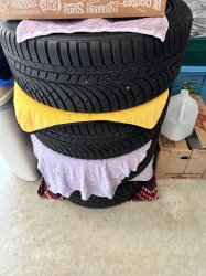 IMG_8351.jpeg
