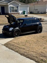 IMG_2371.jpeg