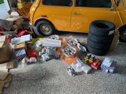 IMG_9537.jpg