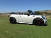 JCW Side View - Pass -SJC Flyer.JPG