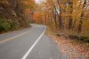 DSC_0212-webpic.jpg