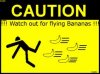 flying nanner.jpg