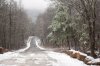 DSC_0409-a-lo-res.jpg