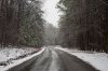 DSC_0413-a-lo-res.jpg