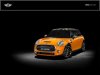 mini with roof decals.jpg