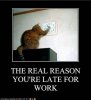 late for work.jpg