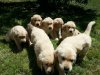 uploadfromtaptalk1402790700624.jpg